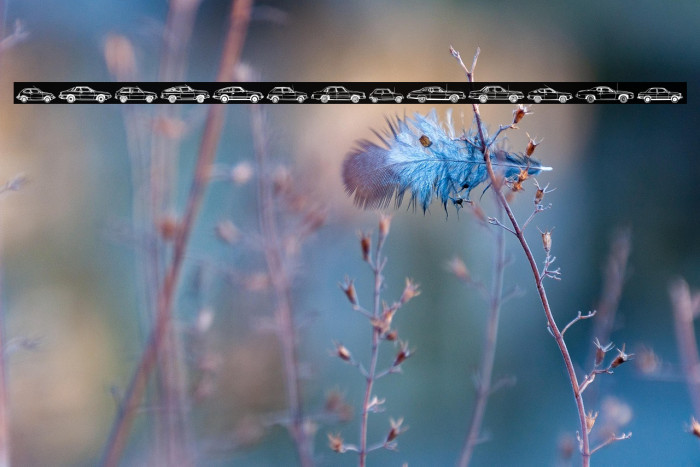 OilCrisisB-Regular Example 1