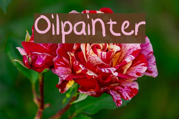 Oilpainter Font examples