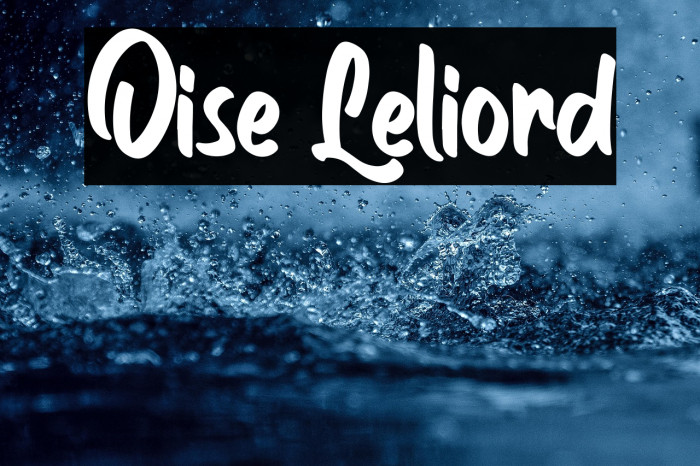 Oise Leliord Example 3