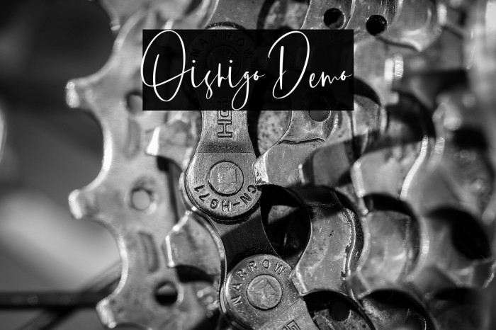 Oishigo Demo Example 1