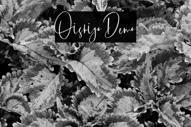 Oishigo Demo Font examples