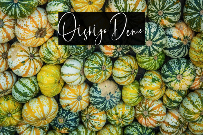 Oishigo Demo Example 3