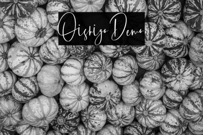 Oishigo Demo Font examples