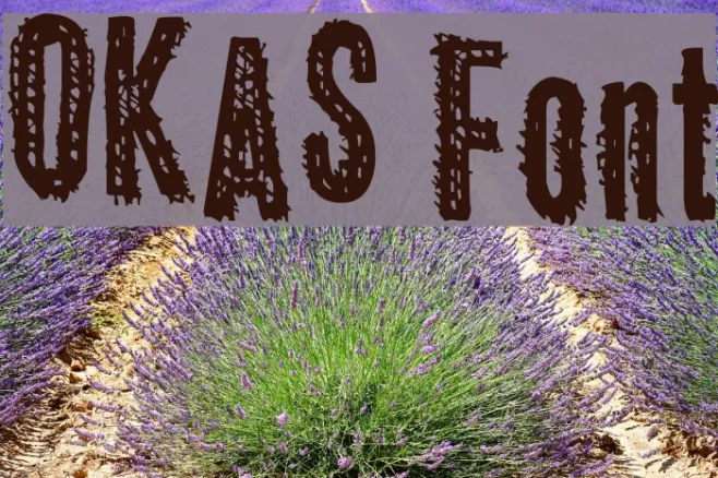 OKAS Example 1