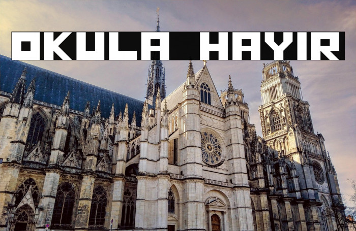 OKULA HAYIR Example 1