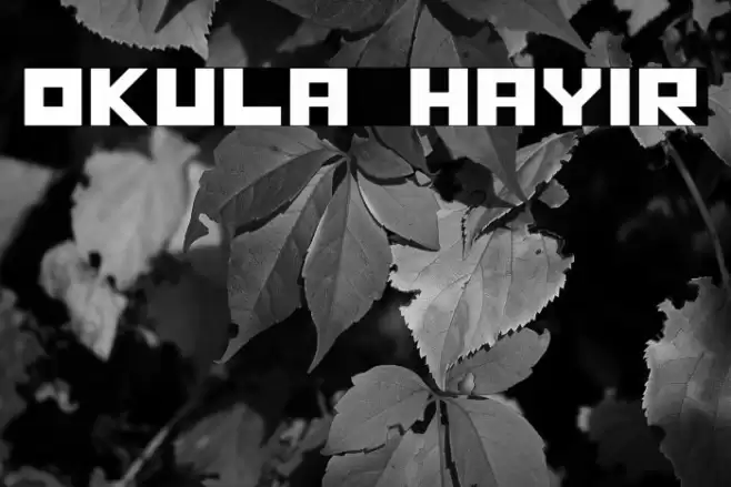 OKULA HAYIR Font examples