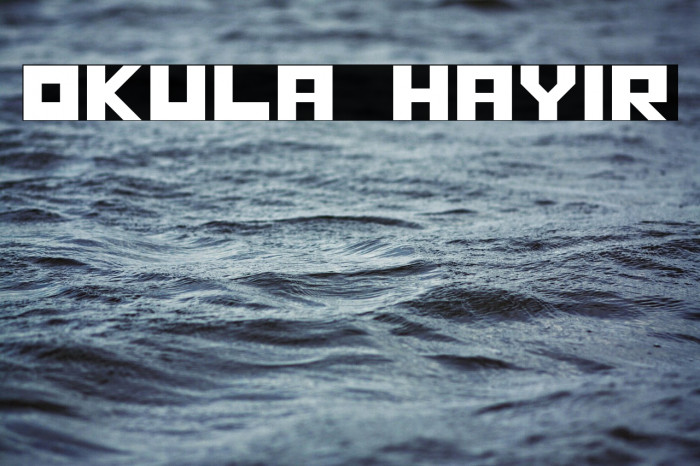 OKULA HAYIR Example 3