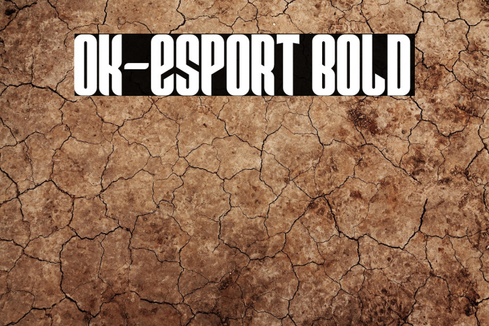 Ok-Esport Bold Example 2