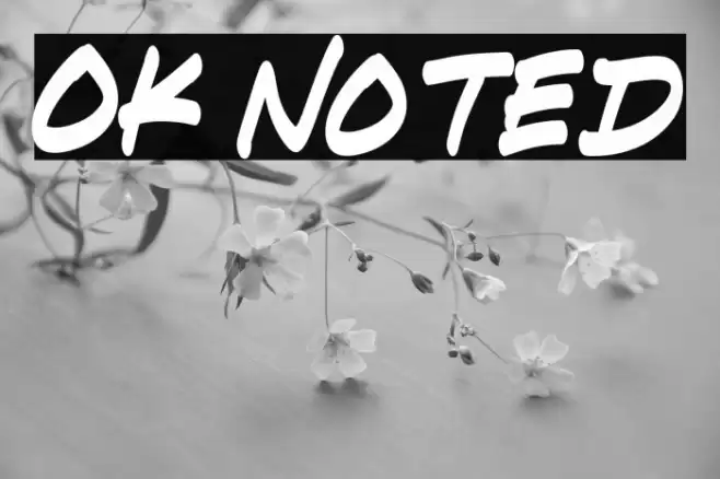 Ok Noted Font examples