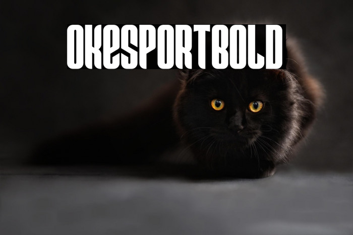 OkEsportBold Example 1