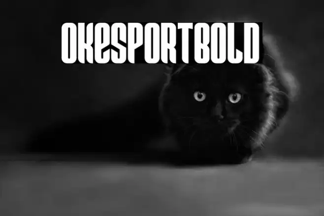 OkEsportBold Font examples
