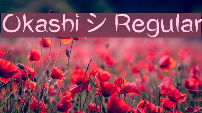 Okashi^ Regular Font examples