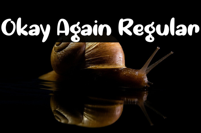 Okay Again Regular Example 1