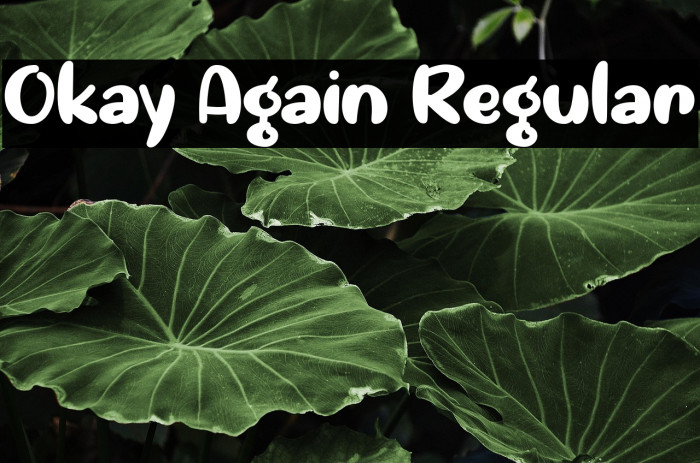 Okay Again Regular Example 3