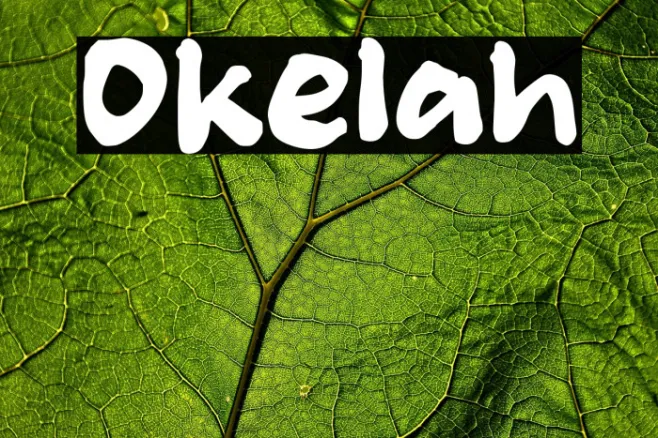 Okelah Example 1