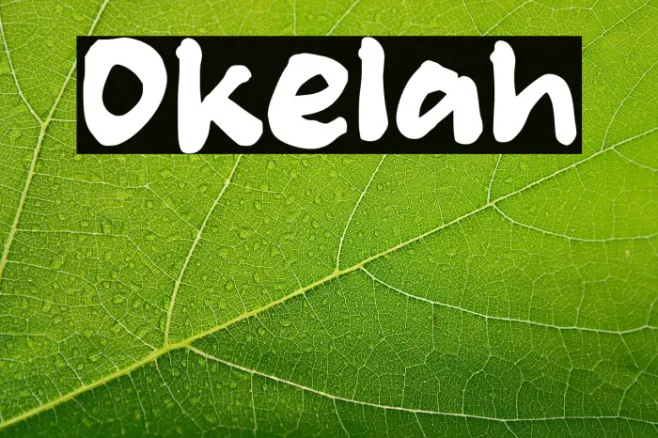 Okelah Example 2