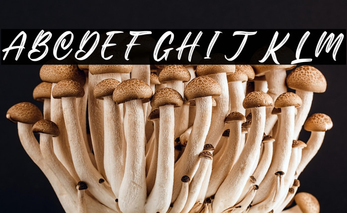 Okinawa Personal Use Example 3