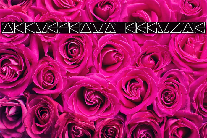 Okkur_prova Regular Example 2