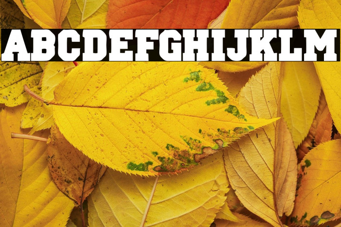 Oklahoma 2021 Example 2