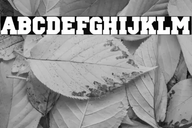 Oklahoma 2021 Шрифта examples