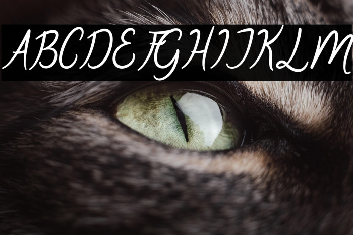 Oklahoma Script Example 3