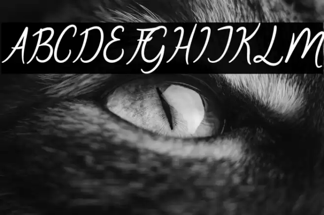 Oklahoma Script Font examples