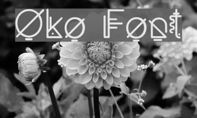 Oko Font examples