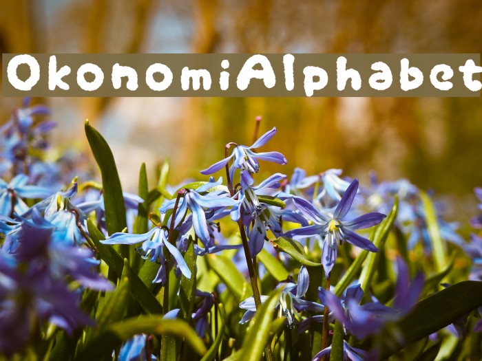 OkonomiAlphabet Font examples