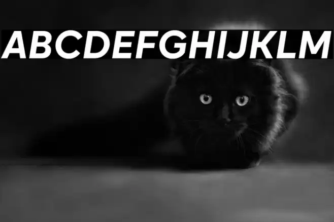 Okta Bold Italic Font examples