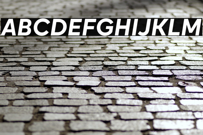 Okta Bold Italic Example 2