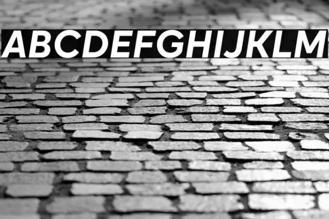 Okta Bold Italic Font examples