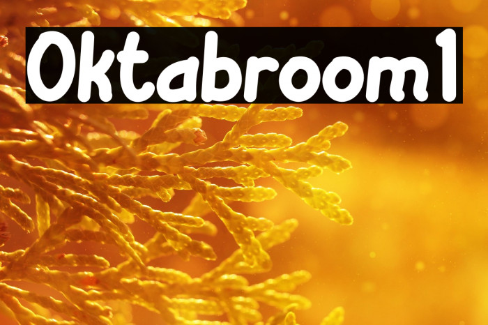 Oktabroom1 Example 2