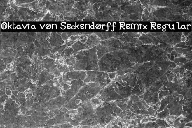 Oktavia von Seckendorff Remix Regular フォント examples