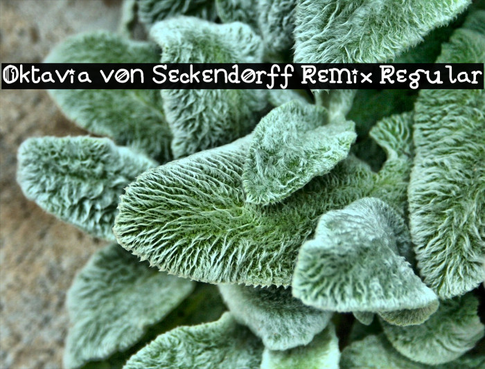 Oktavia von Seckendorff Remix Regular Font examples