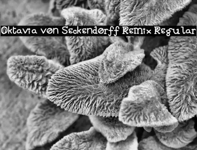 Oktavia von Seckendorff Remix Regular フォント examples