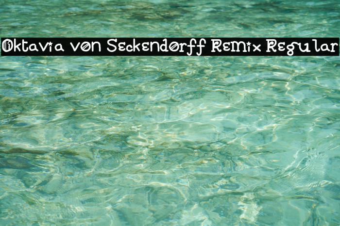 Oktavia von Seckendorff Remix Regular Font examples