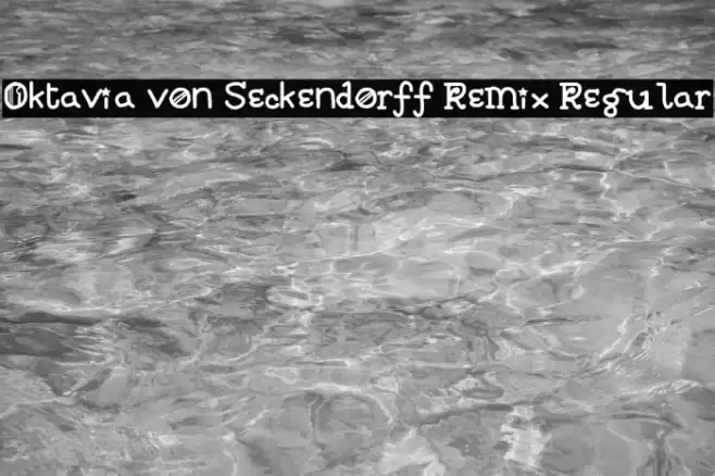 Oktavia von Seckendorff Remix Regular フォント examples