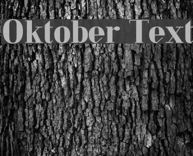Oktober Text Font examples