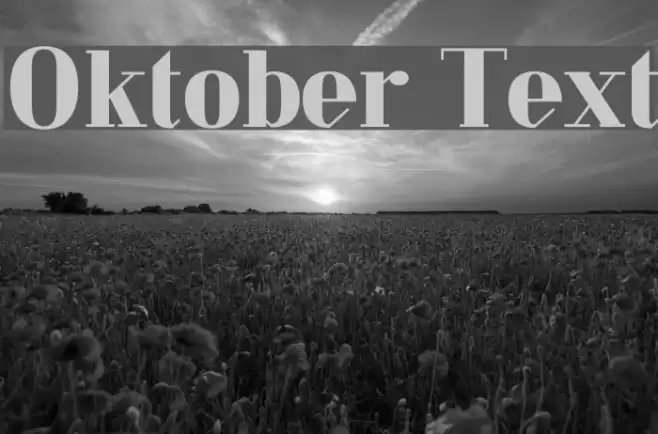 Oktober Text Font examples