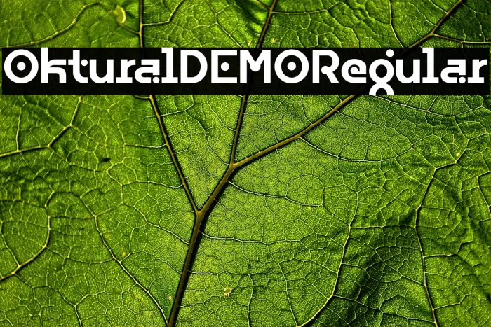 Oktural DEMO Regular Example 2
