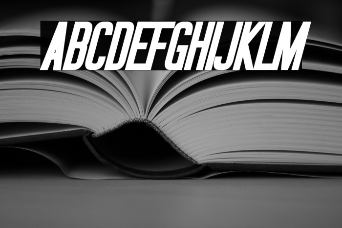 Okuda Bold Italic Example 1