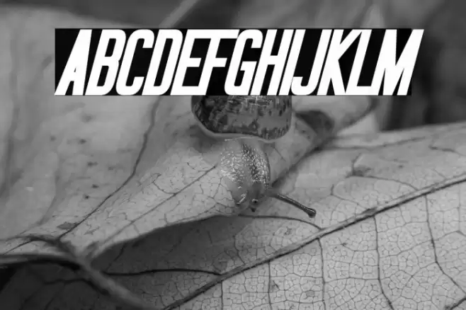 Okuda Bold Italic Font examples