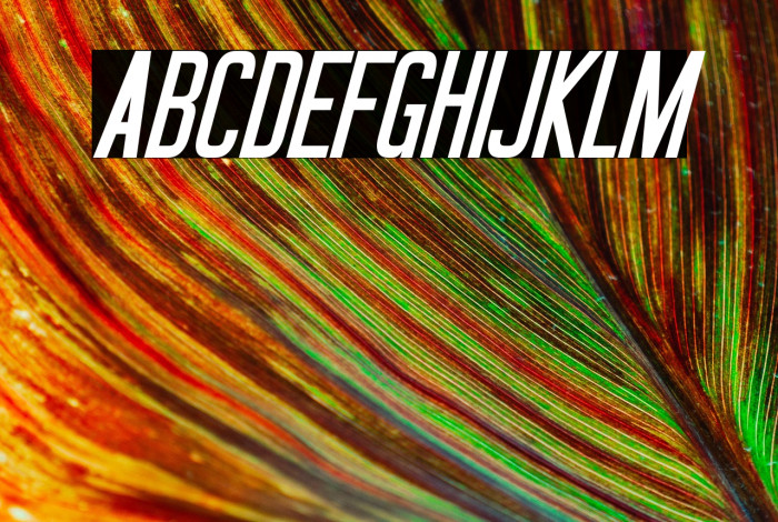 Okuda Italic Example 1