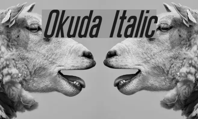 Okuda Italic Font examples
