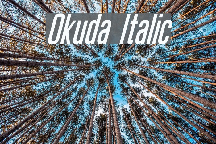 Okuda Italic Font examples