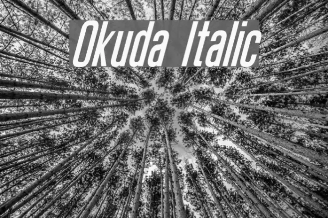 Okuda Italic Font examples