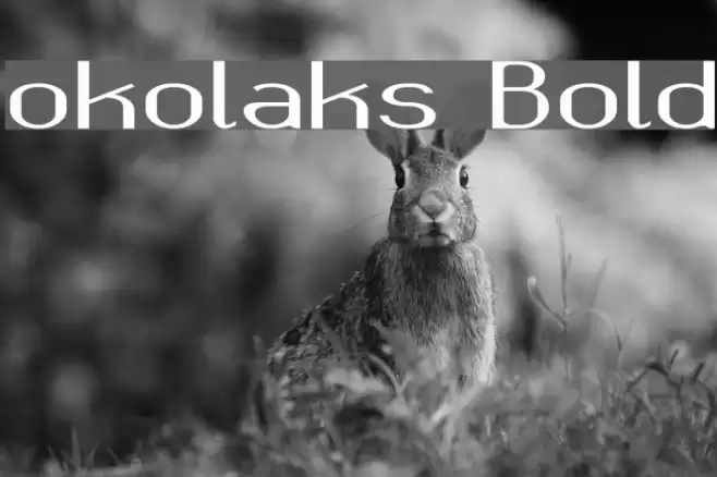 okolaks Bold Font examples