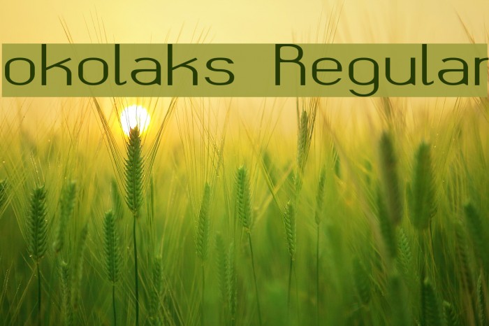 okolaks Regular Font examples