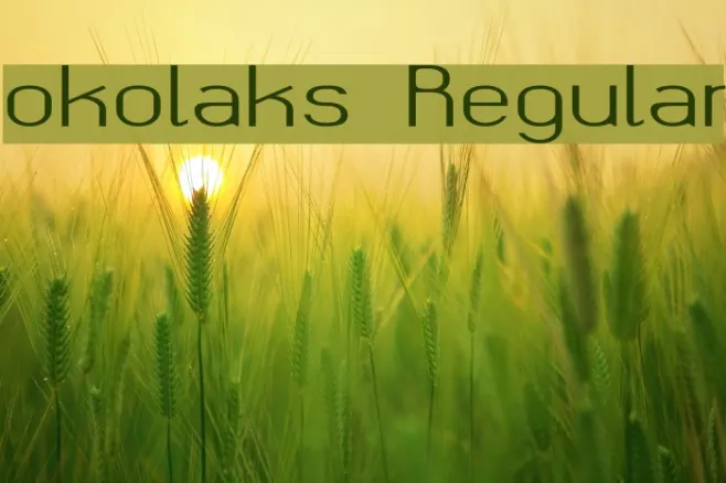 okolaks Regular Example 1