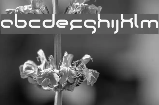 oktober Font examples